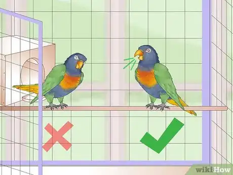 Image titled Treat Psittacine Beak and Feather Disease in Lories and Lorikeets Step 4