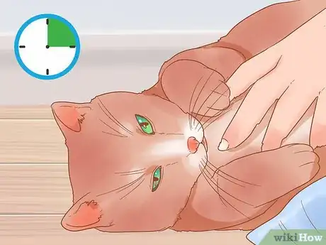 Image titled Have Fun with Your Cat Step 9