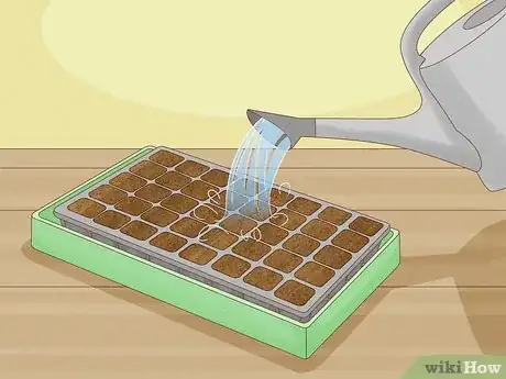 Image titled Plant Seeds in a Basic Seed Tray Step 6