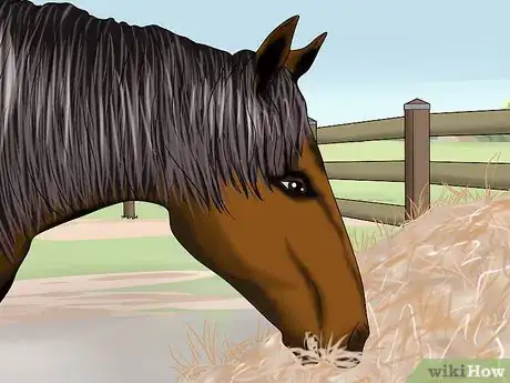 Image titled Breed a Horse Step 10