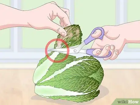 Image titled Check if Vegetables Are Spoiled Step 18