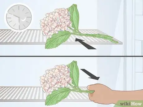 Image titled Revive Hydrangeas Step 5