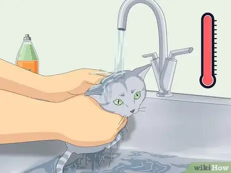 Image titled Give a Kitten a Bath Step 8