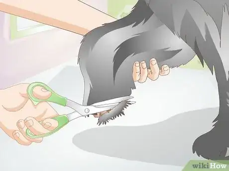 Image titled Brush Your Dog Step 8