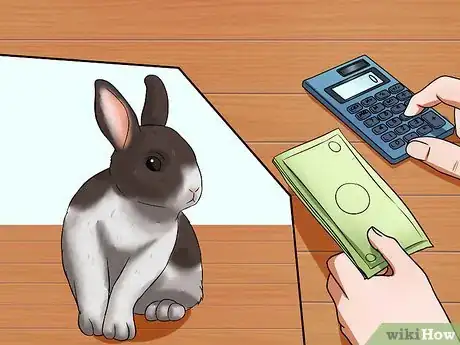 Image titled Make Sure Your Rabbit Has the Best Life You Can Give It Step 2