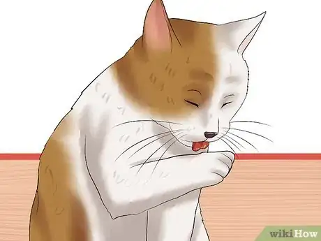 Image titled Check Cats for Fleas Step 1