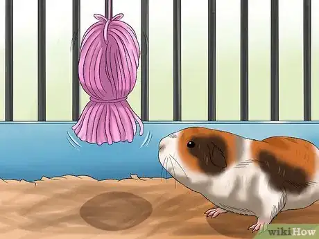 Image titled Make a Dangling Guinea Pig Toy Step 7