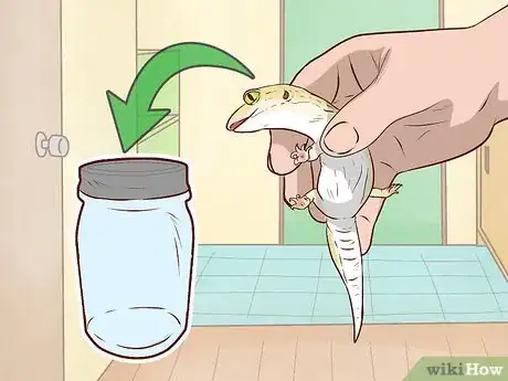 Image titled Get Rid of Geckos Step 2