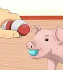 Play with a Piglet