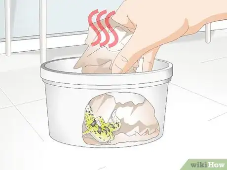 Image titled Bathe a Leopard Gecko Step 9