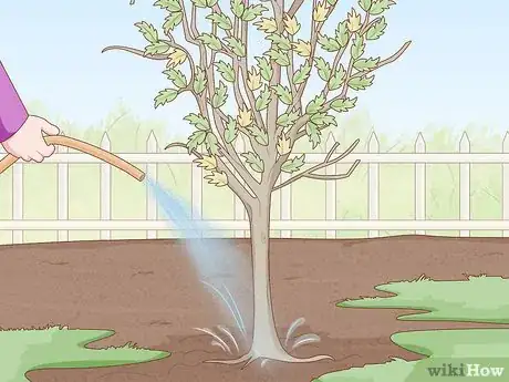 Image titled Replant a Tree Step 1