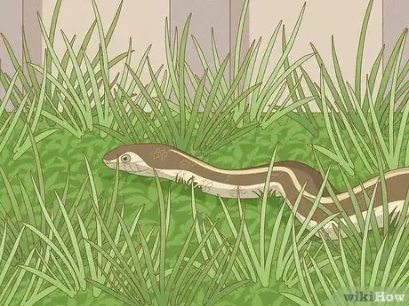 Image titled Catch a Garter Snake Step 3