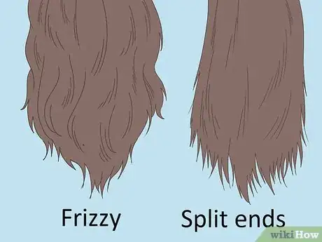 Image titled Detect Split Ends Step 1