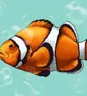 Draw a Clownfish