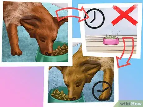 Image titled Choose a Place for Your Dog to Eat Step 12