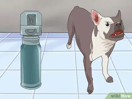 Image titled Train Your Dog from Running out of Your House Step 10