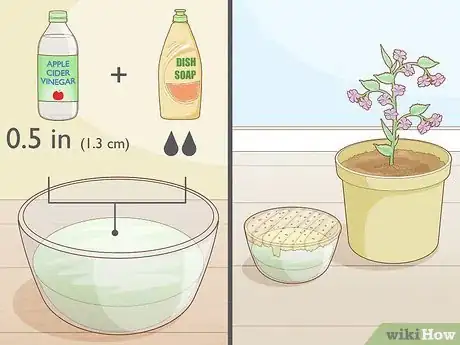 Image titled Get Rid of Gnats in Houseplants Step 2