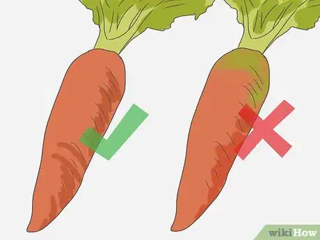 Image titled Select Carrots Step 2