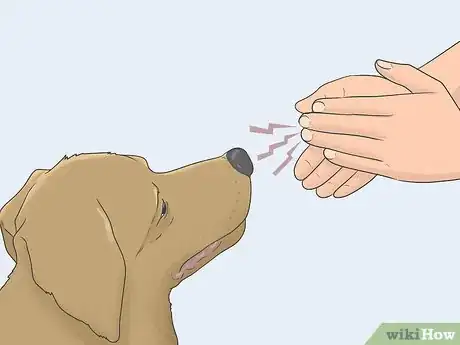 Image titled Stop Dog Marking Behaviors Step 13