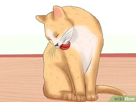 Image titled Know if a Cat Is Stressed Step 4