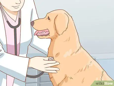 Image titled Tell if Your Dog Is Depressed Step 15