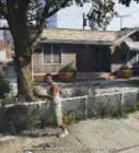 Get a Dog in GTA V