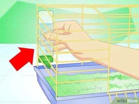 Image titled Make Your Guinea Pig Comfortable in Its Cage Step 7