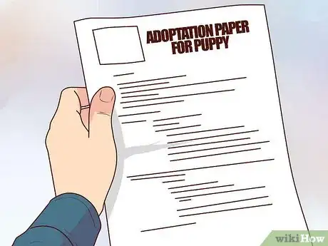 Image titled Buy a Puppy Step 9