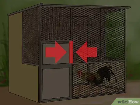 Image titled Stop a Rooster from Crowing Step 4