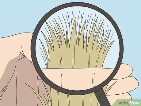 Image titled Detect Split Ends Step 7