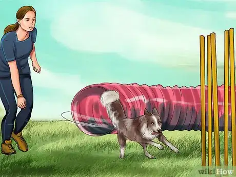 Image titled Design a Dog Agility Course Step 9