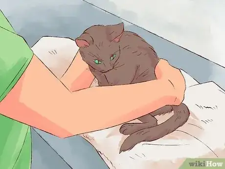 Image titled Give Cats Liquid Medicine Step 1