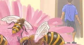 Approach a Bee Infestation