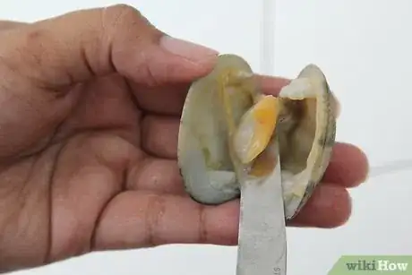 Image titled Cook Clams Step 14Bullet3