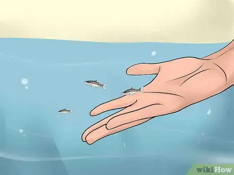 Image titled Bait and Use a Minnow Trap Step 11