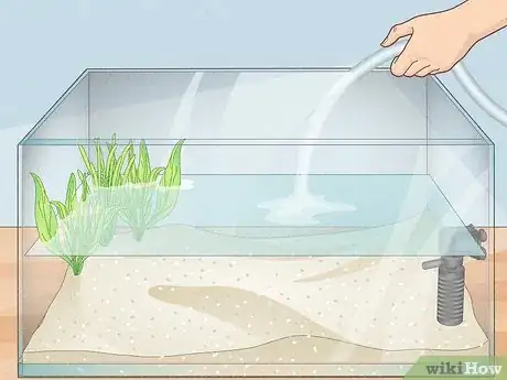 Image titled Make an Aquarium Step 13