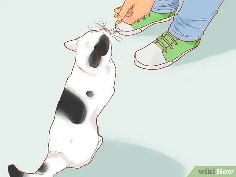 Image titled Get Your to Cat Come Out from Under the Bed Step 8