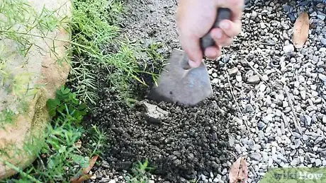 Image titled Make a Drip Irrigator from a Plastic Bottle Step 10