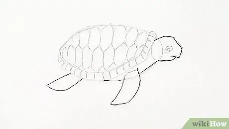 Image titled Draw a Turtle Step 16