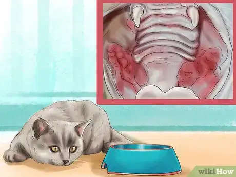 Image titled Diagnose Feline Stomatitis Step 1