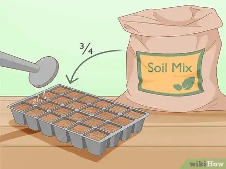 Image titled Grow Chamomile Step 3