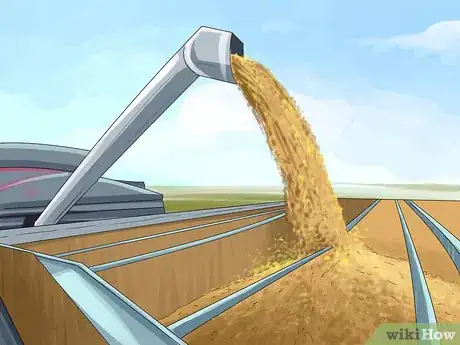 Image titled Harvest Wheat Step 12