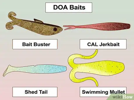 Image titled Create a Setup for Inshore Fishing Step 5