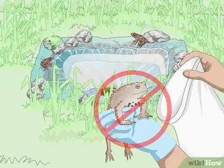 Image titled Attract Frogs Step 14