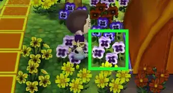 Get Blue Roses and Purple Pansies in Animal Crossing: New Leaf