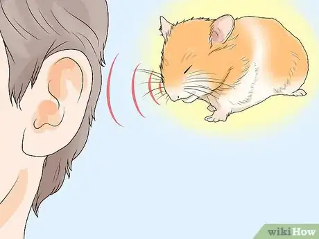 Image titled Spot Illness in Hamsters Step 8