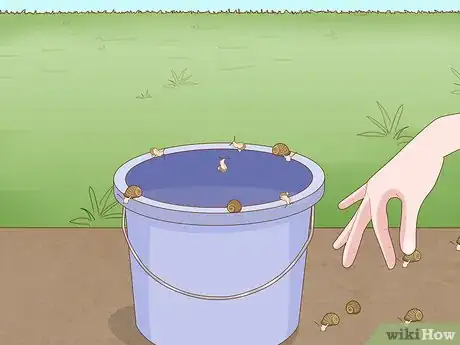 Image titled Get Rid of Snails Step 2