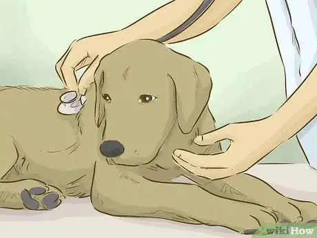 Image titled Become a Veterinarian Step 10