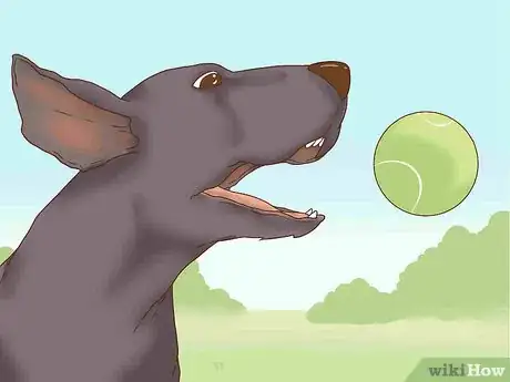 Image titled Get Your Dog to Stop Play Biting Step 9