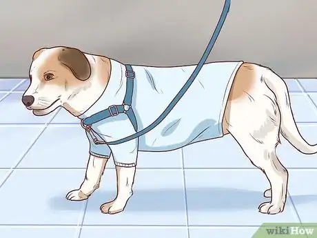 Image titled Measure a Dog for Clothes Step 10